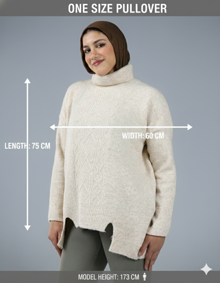 Chunky Knit Turtleneck